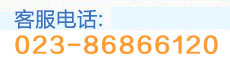 咨询电话：023-86866120